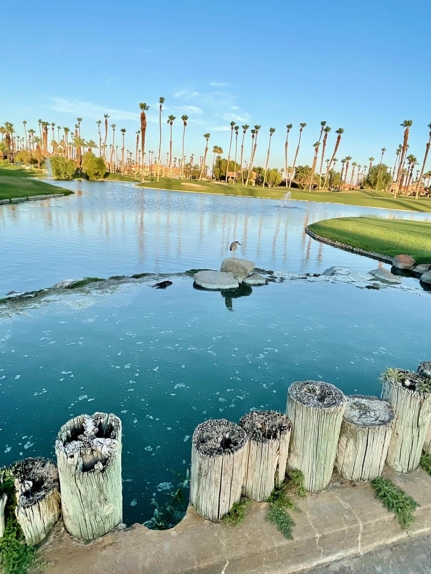 The View! Palm Desert Country Club Villa Экстерьер фото